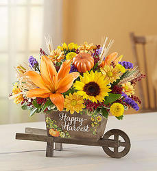 Happy Harvest Wheelbarrow Davenport Florist - Same Day Flower Delivery - Flower Power 